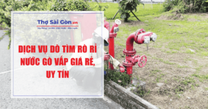 Dịch vụ dò tìm rò rỉ nước Gò Vấp