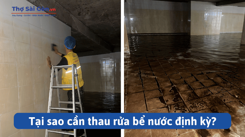 Tại sao cần thau rửa bể nước định kỳ?