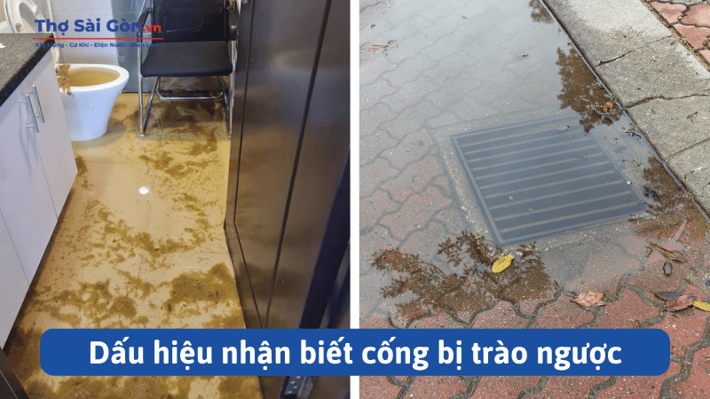 Dấu hiệu nhận biết cống bị trào ngược