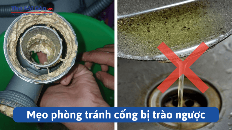 Mẹo phòng tránh cống bị trào ngược
