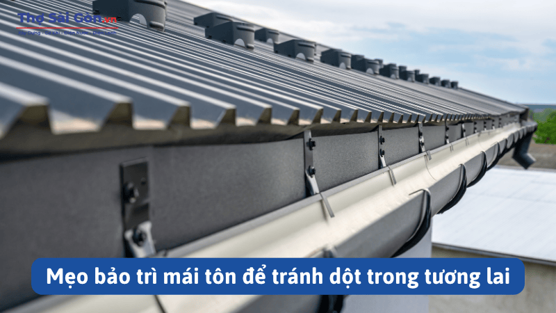 Mẹo bảo trì mái tôn để tránh dột trong tương lai