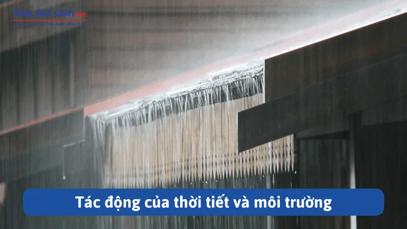 Tác động của thời tiết và môi trường