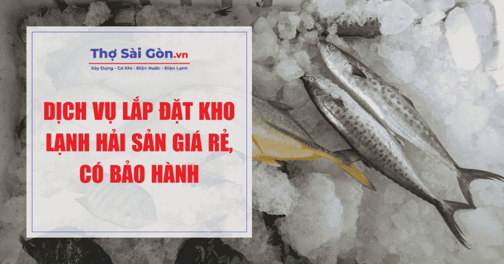 Dịch vụ lắp đặt kho lạnh hải sản giá rẻ, có bảo hành 1 Dịch vụ lắp đặt kho lạnh hải sản giá rẻ, có bảo hành 1