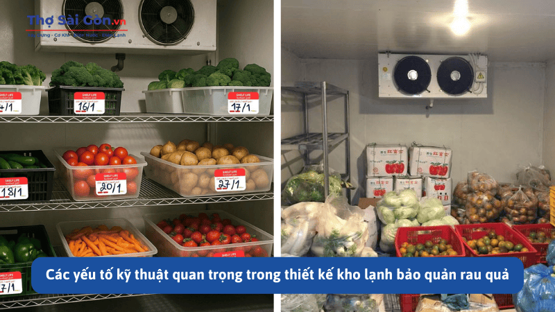 Các yếu tố kỹ thuật quan trọng trong thiết kế kho lạnh bảo quản rau quả