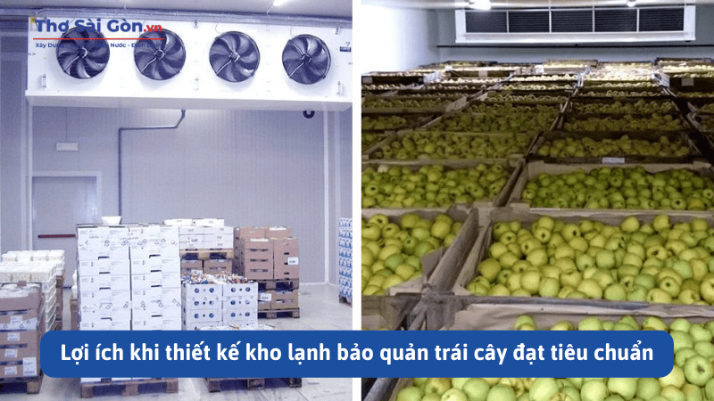 Thiết kế kho lạnh bảo quản trái cây hiệu quả, tiết kiệm 1